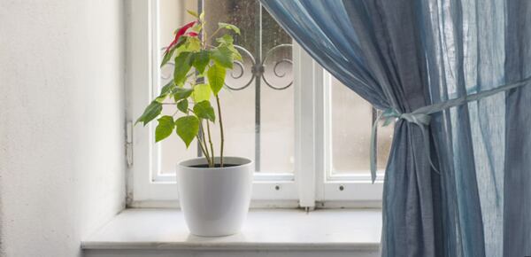 Jemné závěsy ze lnu 