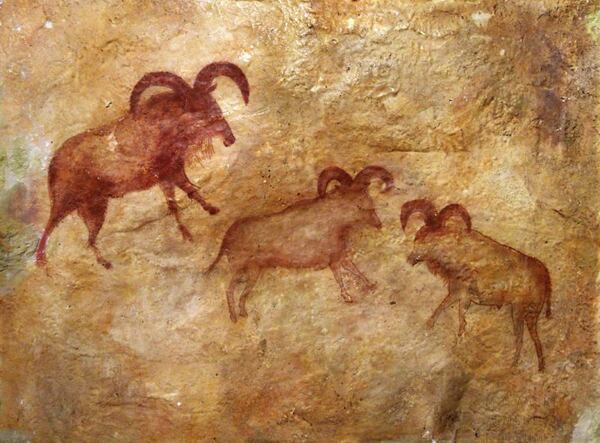 nástěnná malba Altamira