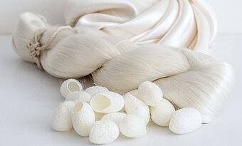 Od kokonu k niti – Jak se vyrábí hedvábí