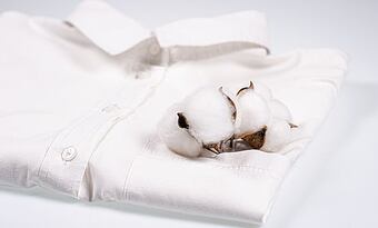 Malý slovník bavlněných látek