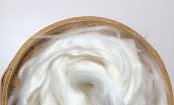 Ramie – kopřiva, která nepálí